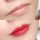 로지브로우 | [고양 입술 반영구] 시술 솔직 후기 삼송 로지브로우 입술 문신 색조화장 립스틱발색력 보습관리
