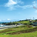 새천년로 이미지