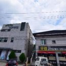 정웅기의원 티스토리