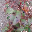 소가야가는길 이미지