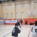 서울대진초등학교 이미지