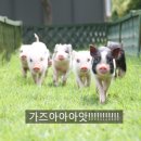 갈비회담 이미지