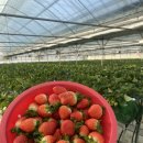 영원농장 이미지