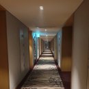 스탠포드호텔 부산 | 경상북도 안동 여행 #2 안동 스탠포드 호텔 숙박 후기