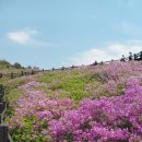 한우산아래
