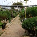 민들레산업 이미지