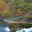 구수곡자연휴양림 야영장 이미지