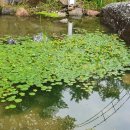 장전길농장 이미지