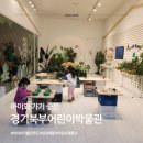[경기북부어린이박물관 리뷰] 아이와 함께하는 실내 체험 추천!