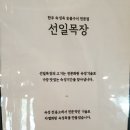 선일농장 이미지