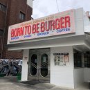 [광주] 동명동 미국식 수제버거 맛집 추천 :: 본투비버거 | 내돈내산 솔직후기