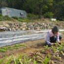 대박농장 이미지