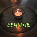 느티나무협동조합