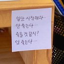 콩밭에국시 | 1분기가 끝났다 - 3월 photo dump