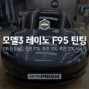 오토링 비산점 | 전면 파손 수리비 걱정없는 레이노 F95 / 테슬라 모델3 신차패키지 틴팅