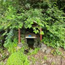 시내산펜션 | 물 맑고 공기 좋았던 월악산펜션 :: 시내산펜션 후기