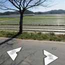 김성남 농장 이미지