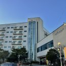 속초 애견동반 숙소 고성 오션투유리조트 스위트펫룸 내돈내산 솔직후기
