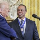 백악관 스크린골프 이미지