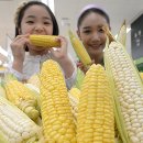 (주)동해식품 - 동대문구 | (주)동해식품