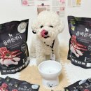 주식회사 알파사료 | [국개대표] 올바른끼니 알파 강아지 눈물에 좋은 기호성 최고 사료