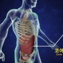 마린코어