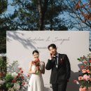 남산길 하우스 | 남산뜰 웨딩 후기 가을 야외결혼식 본식스냅 강산픽