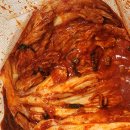 제일김치 | [김치 구입 후기] 해남재 포기배추김치 8kg / CJ제일제당 전라도김치