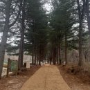 솔바람사이길 이미지