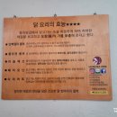 천상계닭한마리 이미지