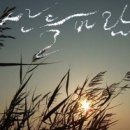 산들바람 이미지