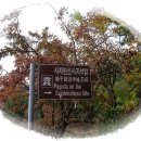 중원-133 이미지