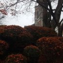 라면사랑 이미지