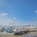 갯벌건어물 - 남동구 장도로 85 | 갯벌건어물