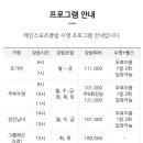 메인스포츠클럽 이미지