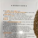 팜트리빌리지