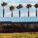 느긋하귀 이미지