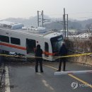 중선로 뉴데일리