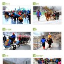 GR(서천군)-[장서로]-상-25 | 충남 청양 알프스 마을 축제 및 숙소 펜션 글램핑 아이들 체험거리 즐길거리 알아 보았습니다.