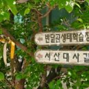 지리산쉼표