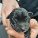 울동네세탁소 이미지