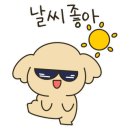 카페아그네스