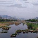 남천(교동리) 이미지