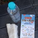 우이령 | 2024 우이령 단풍 나들이 후기