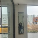 파파상사 | 250405 [울산HD vs FC서울] 그래도 해야지 어떡해