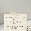 퍼플블룸 이미지