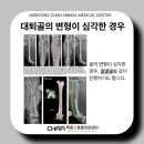 목동찬동물의료센터 이미지