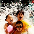 8월 14일 뉴우스~~ 이미지