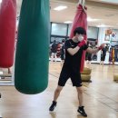 일도복싱 네이버블로그