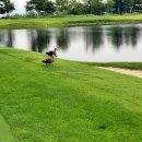 베네스트모텔 이미지